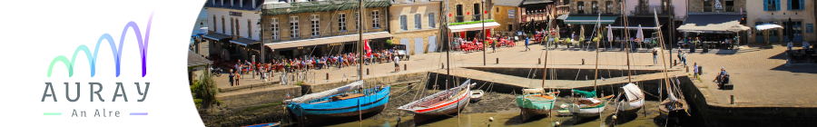 Inscriptions aux alertes risques majeurs