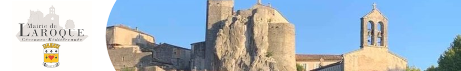 Inscriptions aux alertes risques majeurs