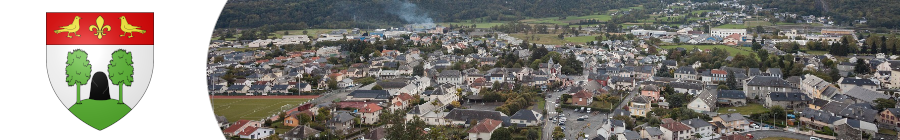 Inscriptions aux alertes risques majeurs