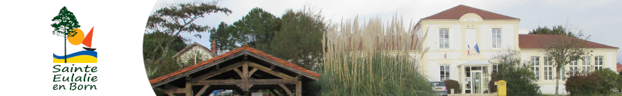 Inscriptions aux alertes risques majeurs